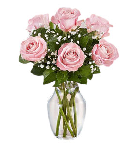DF 46- 6 Pink rose in a vase. 